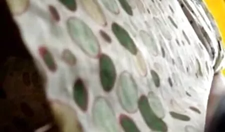 Estudante mostrou seu belo corpo site sexo gratis nu
