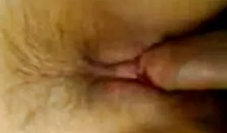 Compilação gang sexo grátis gostoso bang com Grosso bang