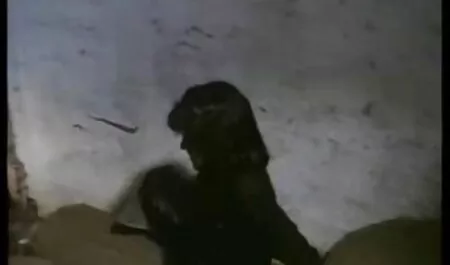 Brilhante e ver outro bebê executar atores masculinos videos de sexo hentai gratis