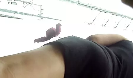 Nas mesas da gratis xnxx cozinha