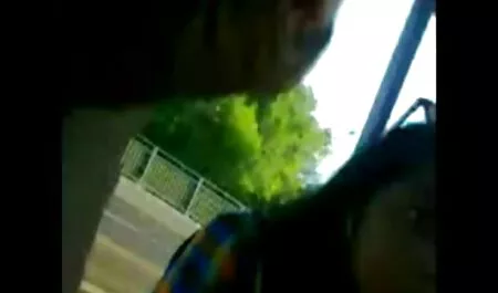 Dançarino de urso pornô sem vírus